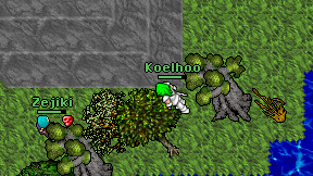 Koelhoo on screen