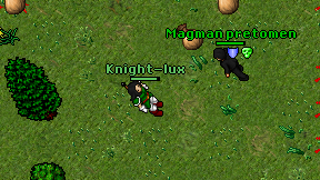 Knight-lux on screen