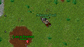 Mange Pall on screen