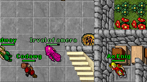 Irval of amera on screen