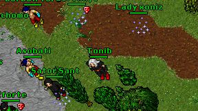 Tonib on screen