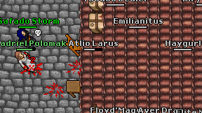 Haygurl on screen