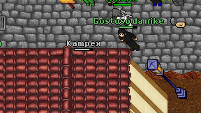 Kampex on screen