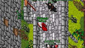 Plynn on screen