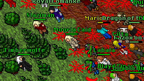 Mooria Caid on screen