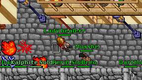 Lady healerr on screen