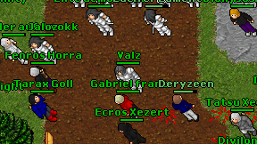 Valz on screen