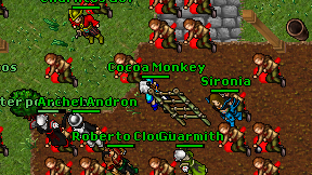 Cocoa Monkey on screen