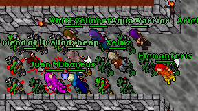 Xelmz on screen