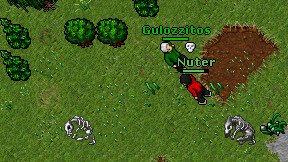 Nuter on screen