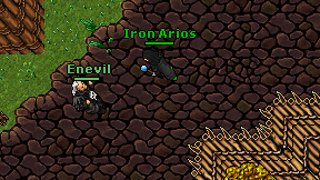 Enevil on screen