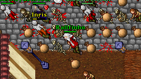Rallfinho on screen