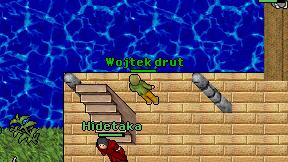 Wojtek drut on screen