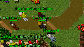 Loco Anix on screen