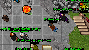 Kalmanor on screen