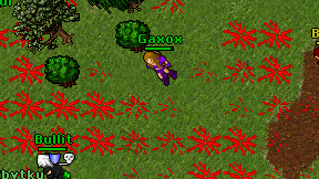 Gaxox on screen