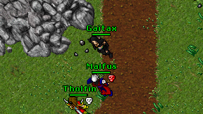Gaitax on screen