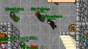 Edimedusa on screen