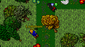 Luduhun on screen