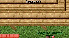 Mokry kij on screen