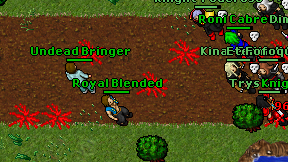 Royal Blended on screen