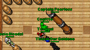 Cogitto on screen