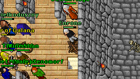 Enrone on screen
