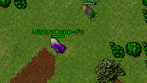 Mistrz Kunk-Fu on screen