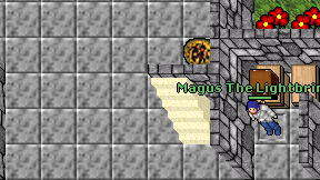 Magus The Lightbringer on screen