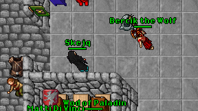 Skejq on screen
