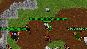 Moonlight Shadoow on screen