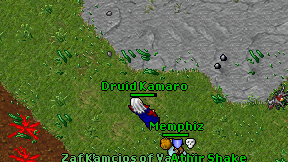 Druid Kamaro on screen