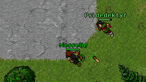 Nesselie on screen