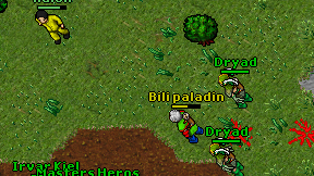 Bili paladin on screen