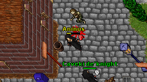 Aninus on screen