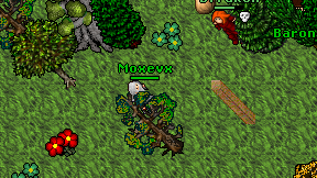 Moxevx on screen