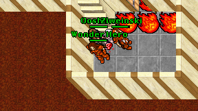 Wonder Hero on screen