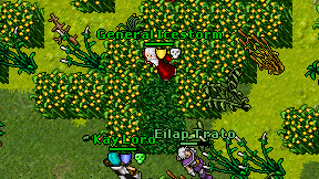 General Icestorm on screen