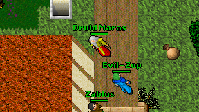 Druid Maras on screen