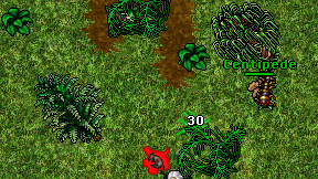 Elite Erzen on screen