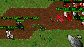Hamosone Evardard on screen