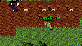 Magus Druid on screen