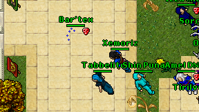 Xemoriz on screen