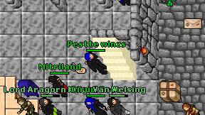 Pestte winzs on screen