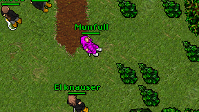 Munfull on screen
