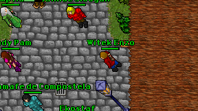 Witek Enzo on screen