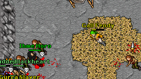 Gall Fendy on screen