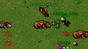 Ron of askara on screen