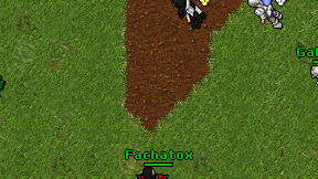 Fachatox on screen