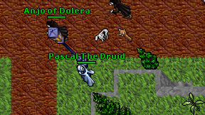 Pascal The Druid on screen